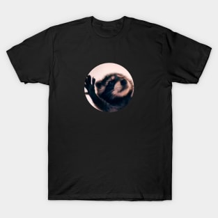 Dancing Raccoon Meme T-Shirt